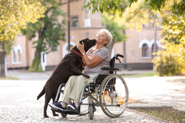 EHPAD et animaux de compagnie des résidents : les conditions sont connues !