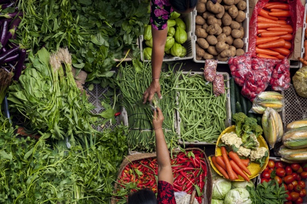 Loi sur la stabilité économique et la compétitivité du secteur agroalimentaire : quelles nouveautés ? 