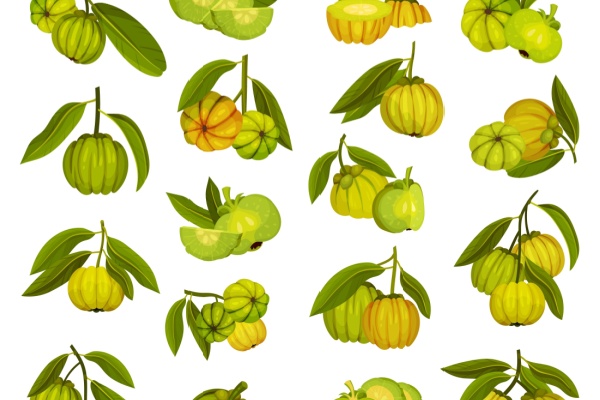 Garcinia cambogia : une interdiction temporaire toujours d’actualité ?